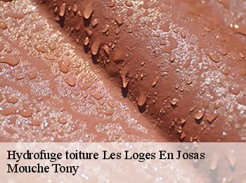 Hydrofuge toiture