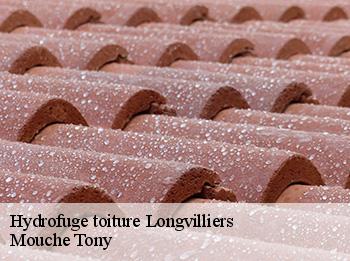 Hydrofuge toiture  78730