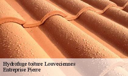 Hydrofuge toiture 78430