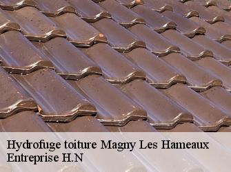 Hydrofuge toiture  78114