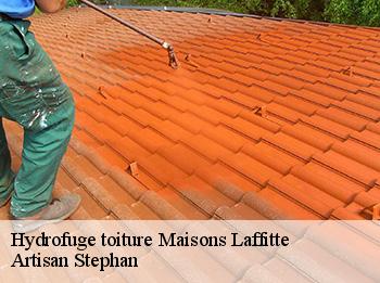Hydrofuge toiture  maisons-laffitte-78600 Artisan Stephan