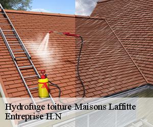 Hydrofuge toiture  maisons-laffitte-78600 Entreprise H.N