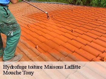 Hydrofuge toiture  maisons-laffitte-78600 Mouche Tony