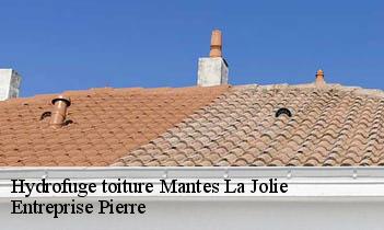 Hydrofuge toiture mantes-la-jolie-78200 Entreprise Pierre