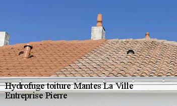 Hydrofuge toiture mantes-la-ville-78200 Entreprise Pierre