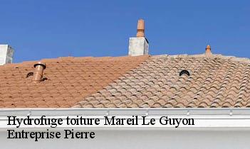 Hydrofuge toiture  mareil-le-guyon-78490 Entreprise Pierre