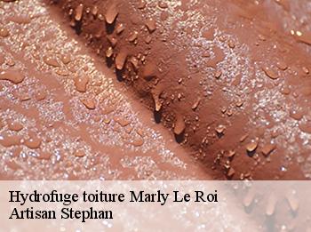 Hydrofuge toiture