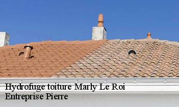 Hydrofuge toiture  marly-le-roi-78160 Entreprise Pierre