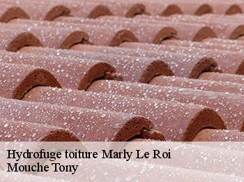 Hydrofuge toiture 78160