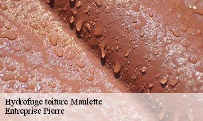 Hydrofuge toiture