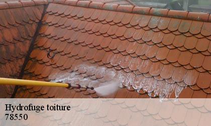 Hydrofuge toiture 78550