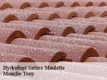 Hydrofuge toiture 78550