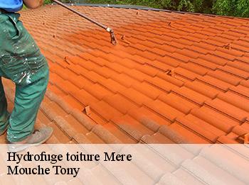 Hydrofuge toiture  mere-78490 Mouche Tony