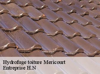 Hydrofuge toiture  78270