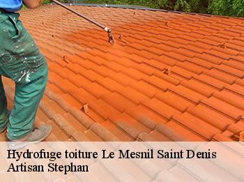 Hydrofuge toiture  le-mesnil-saint-denis-78320 Artisan Stephan