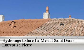 Hydrofuge toiture le-mesnil-saint-denis-78320 Entreprise Pierre