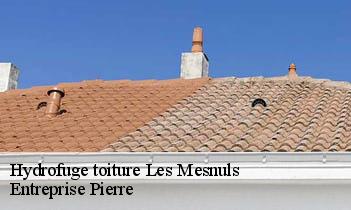 Hydrofuge toiture les-mesnuls-78490 Entreprise Pierre