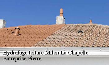 Hydrofuge toiture milon-la-chapelle-78470 Entreprise Pierre