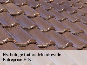 Hydrofuge toiture  78980