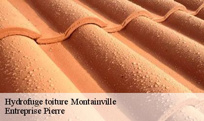 Hydrofuge toiture 78124