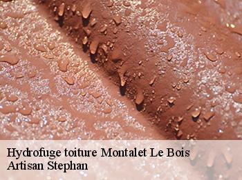 Hydrofuge toiture