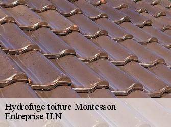 Hydrofuge toiture  78360