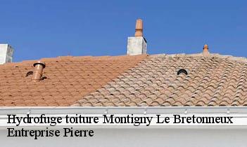 Hydrofuge toiture montigny-le-bretonneux-78180 Entreprise Pierre