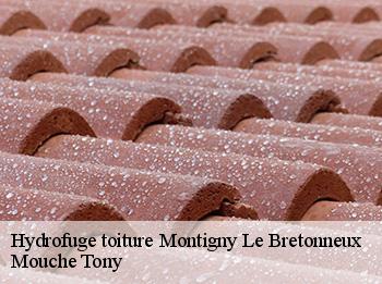 Hydrofuge toiture  78180