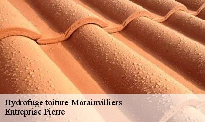 Hydrofuge toiture 78630
