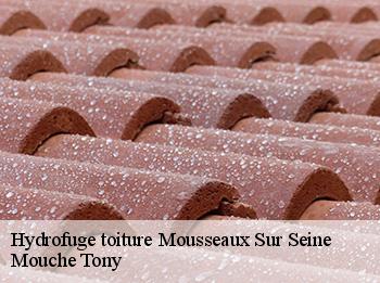 Hydrofuge toiture  78270