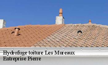 Hydrofuge toiture  les-mureaux-78130 Entreprise Pierre