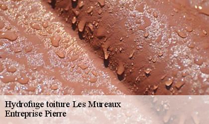 Hydrofuge toiture