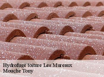 Hydrofuge toiture  78130