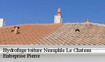 Hydrofuge toiture  neauphle-le-chateau-78640 Entreprise Pierre