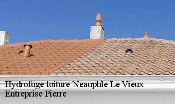 Hydrofuge toiture  neauphle-le-vieux-78640 Entreprise Pierre
