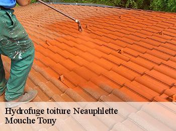Hydrofuge toiture  neauphlette-78980 Mouche Tony