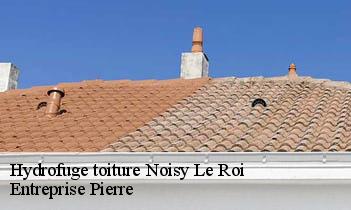 Hydrofuge toiture noisy-le-roi-78590 Entreprise Pierre