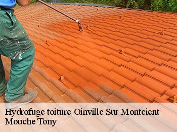 Hydrofuge toiture  oinville-sur-montcient-78250 Mouche Tony