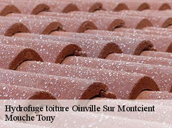Hydrofuge toiture  78250