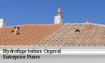 Hydrofuge toiture orgeval-78630 Entreprise Pierre