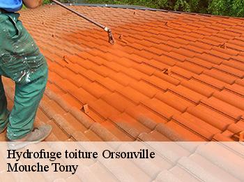 Hydrofuge toiture  orsonville-78660 Mouche Tony