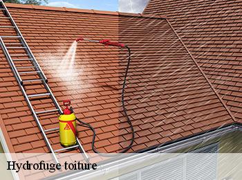 Hydrofuge toiture  78660
