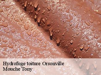 Hydrofuge toiture