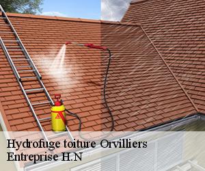 Hydrofuge toiture  orvilliers-78910 Entreprise H.N