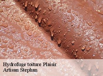 Hydrofuge toiture