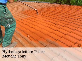 Hydrofuge toiture  plaisir-78370 Mouche Tony