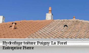 Hydrofuge toiture  poigny-la-foret-78125 Entreprise Pierre