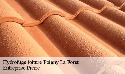 Hydrofuge toiture  78125