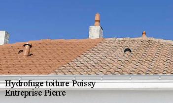 Hydrofuge toiture poissy-78300 Entreprise Pierre