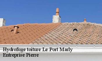 Hydrofuge toiture le-port-marly-78560 Entreprise Pierre